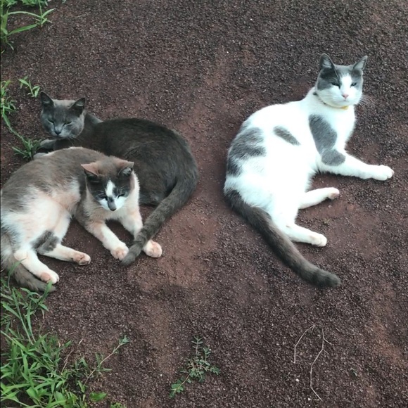 Meet Your Posher, Kristin - Picture 5 of 8